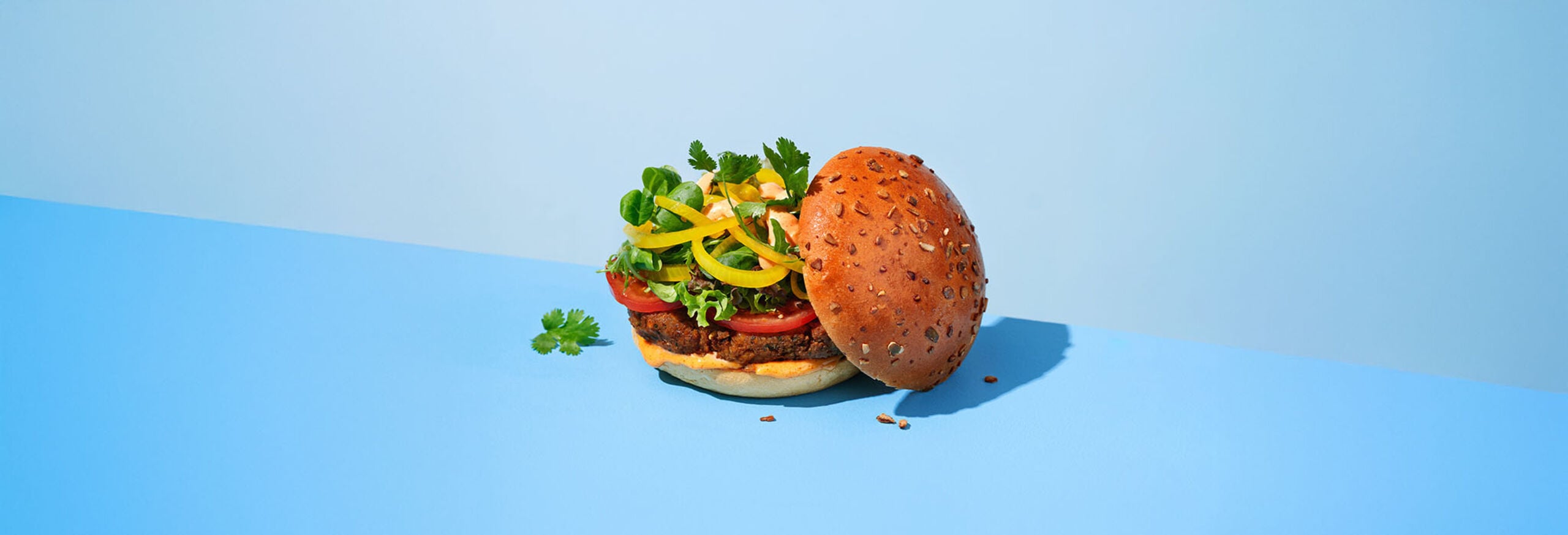 230772_SWEET POTATO HAMBURGER BUN_RECEPT_VEGGIE_Liggend_v1-2_1_banner_3_mood